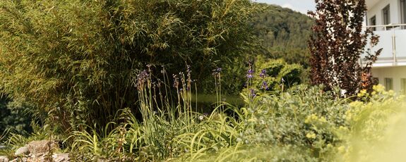 Ambiente in der Akutklinik Albstadt