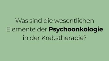 Was sind die wesentlichen Elemente der Psychoonkologie in der Krebstherapie?